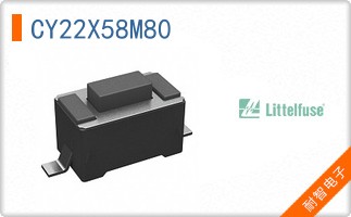 CY22X58M80