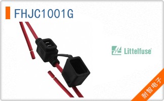 FHJC1001G