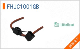 FHJC1001GB