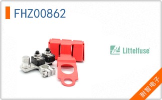 FHZ00862