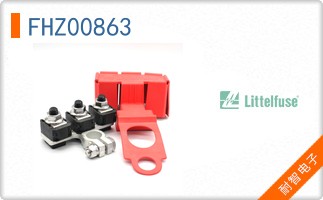 FHZ00863