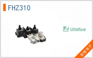 FHZ310