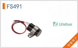 FS491