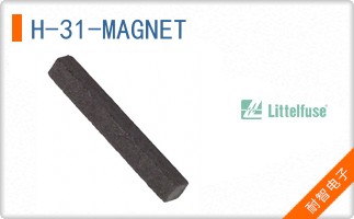 H-31-MAGNET