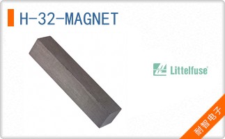 H-32-MAGNET