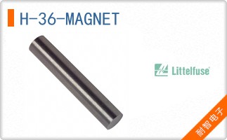 H-36-MAGNET