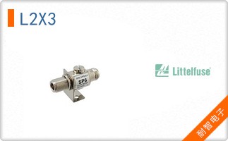 L2X3
