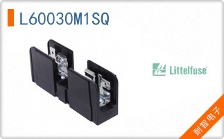 L60030M1SQ