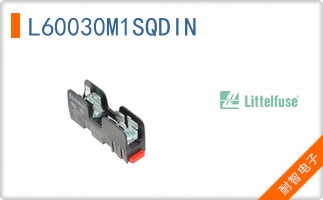 L60030M1SQDIN