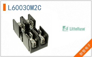 L60030M2C
