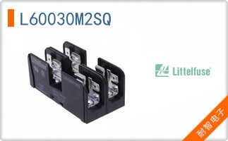 L60030M2SQ