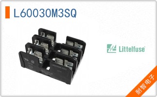 L60030M3SQ
