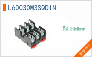 L60030M3SQDIN