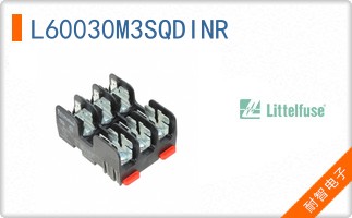 L60030M3SQDINR