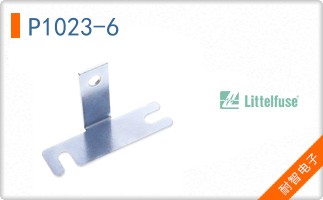 P1023-6