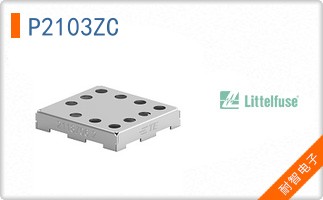 P2103ZC