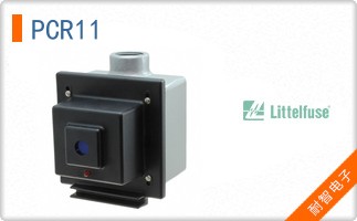PCR11