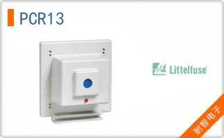 PCR13