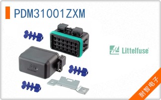 PDM31001ZXM