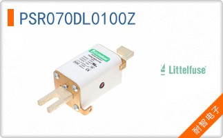 PSR070DL0100Z