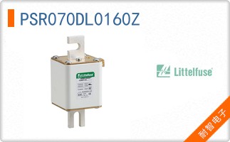 PSR070DL0160Z