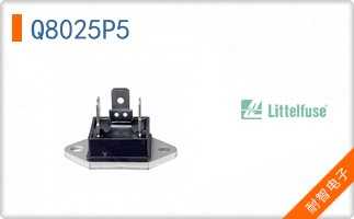 Q8025P5