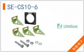 SE-CS10-6