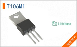 T106M1