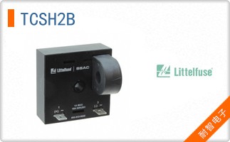 TCSH2B
