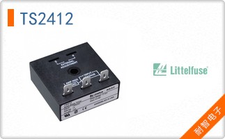 TS2412