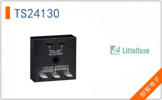 TS24130