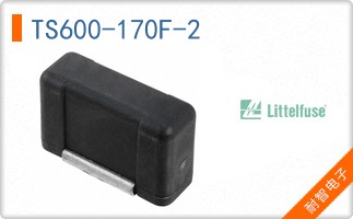 TS600-170F-2