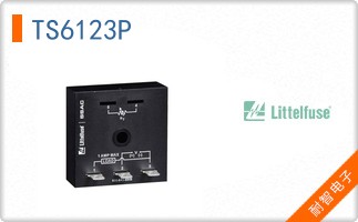 TS6123P