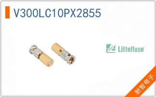 V300LC10PX2855