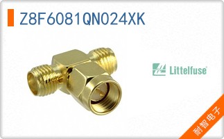 Z8F6081QN024XK